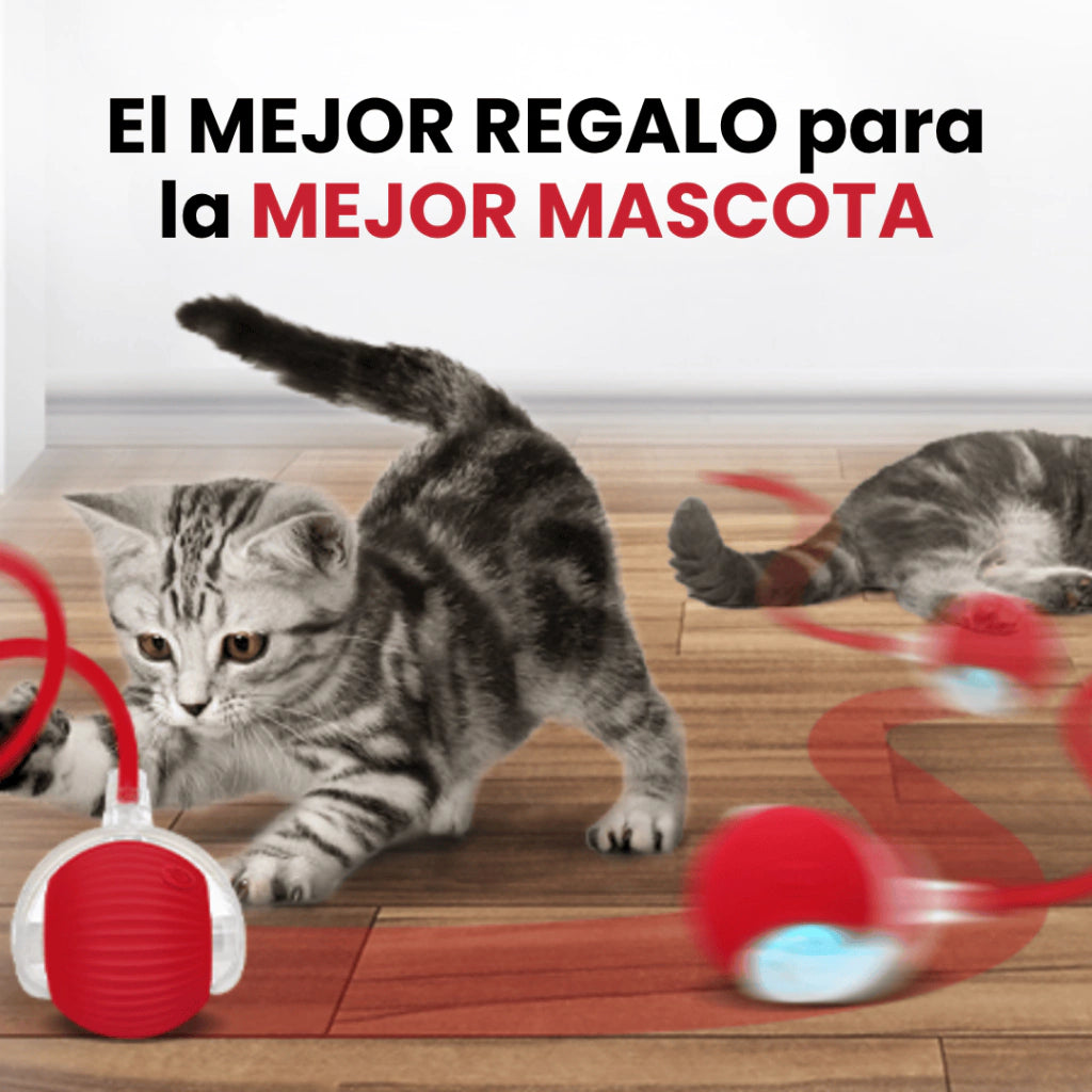 Pelota Interactiva para Mascotas: Diversión y Estimulación Todo el Día