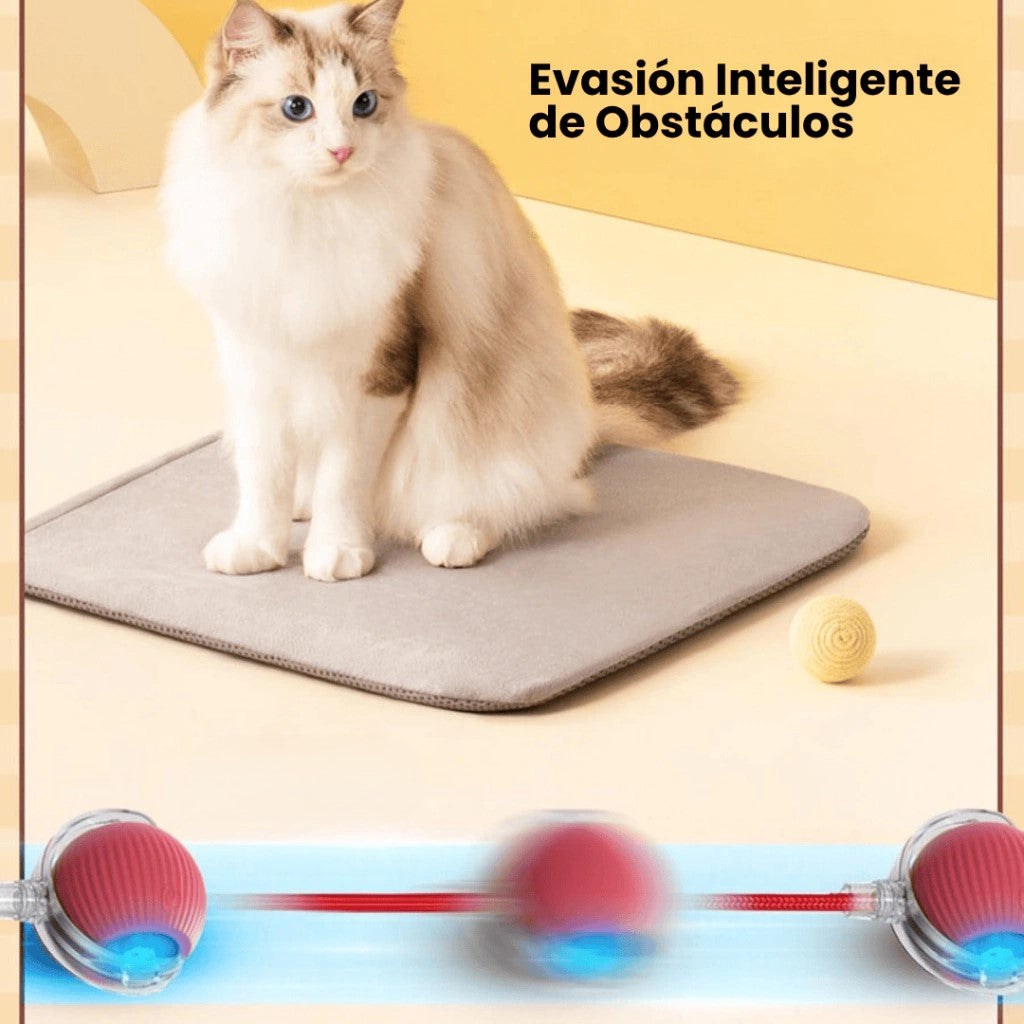 2X1 (OFERTA LIMITADA) Pelota Rollie™️ + NanoVaporizador™️