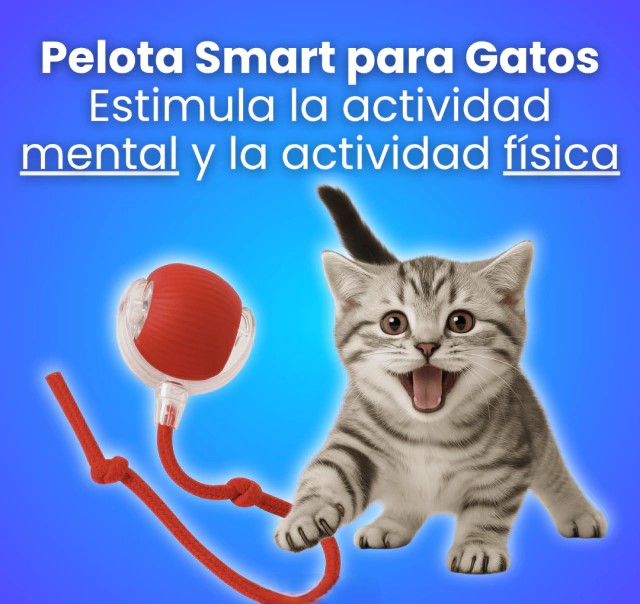 Pelota Interactiva para Mascotas: Diversión y Estimulación Todo el Día